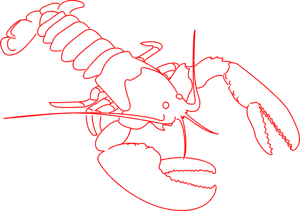 Lobster Free A Red Lobster Outline Wikiclipart Png - Lobster Clipart Outline (958x676), Png Download