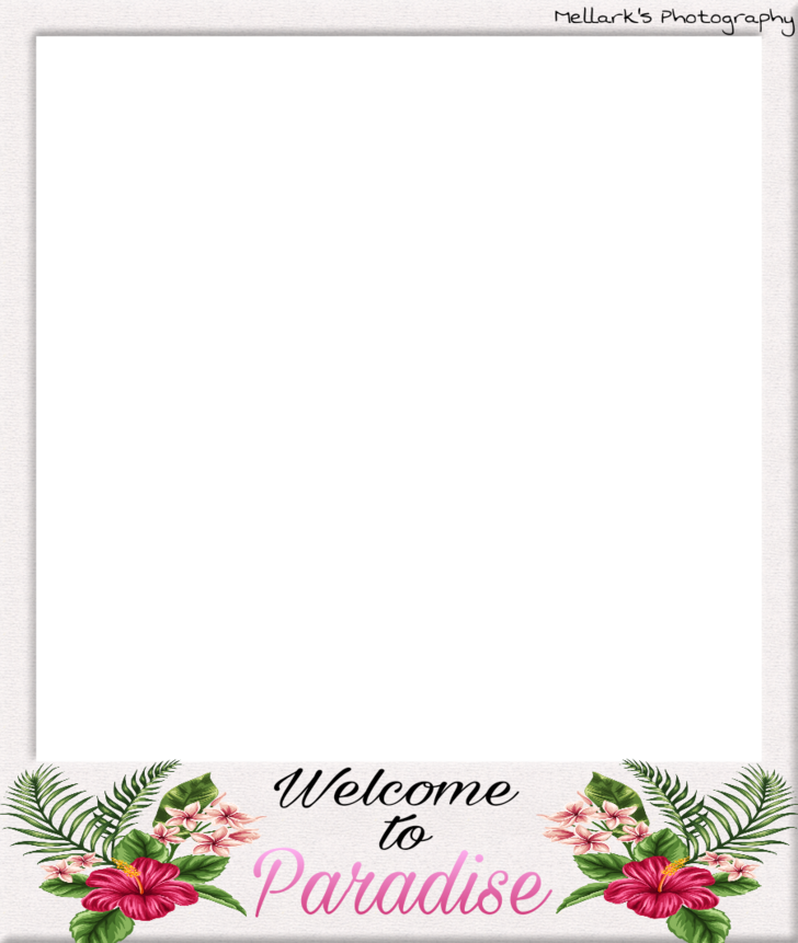 Wtp Polaroids Png (728x861), Png Download