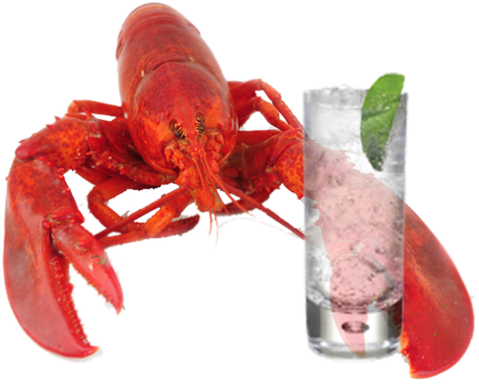 Lobster Download Transparent Png Image - Lobster Holding A Drink (930x580), Png Download