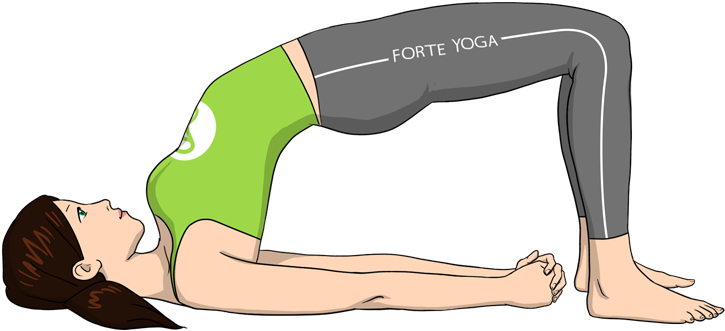 Yoga Bridge Pose Png (900x675), Png Download