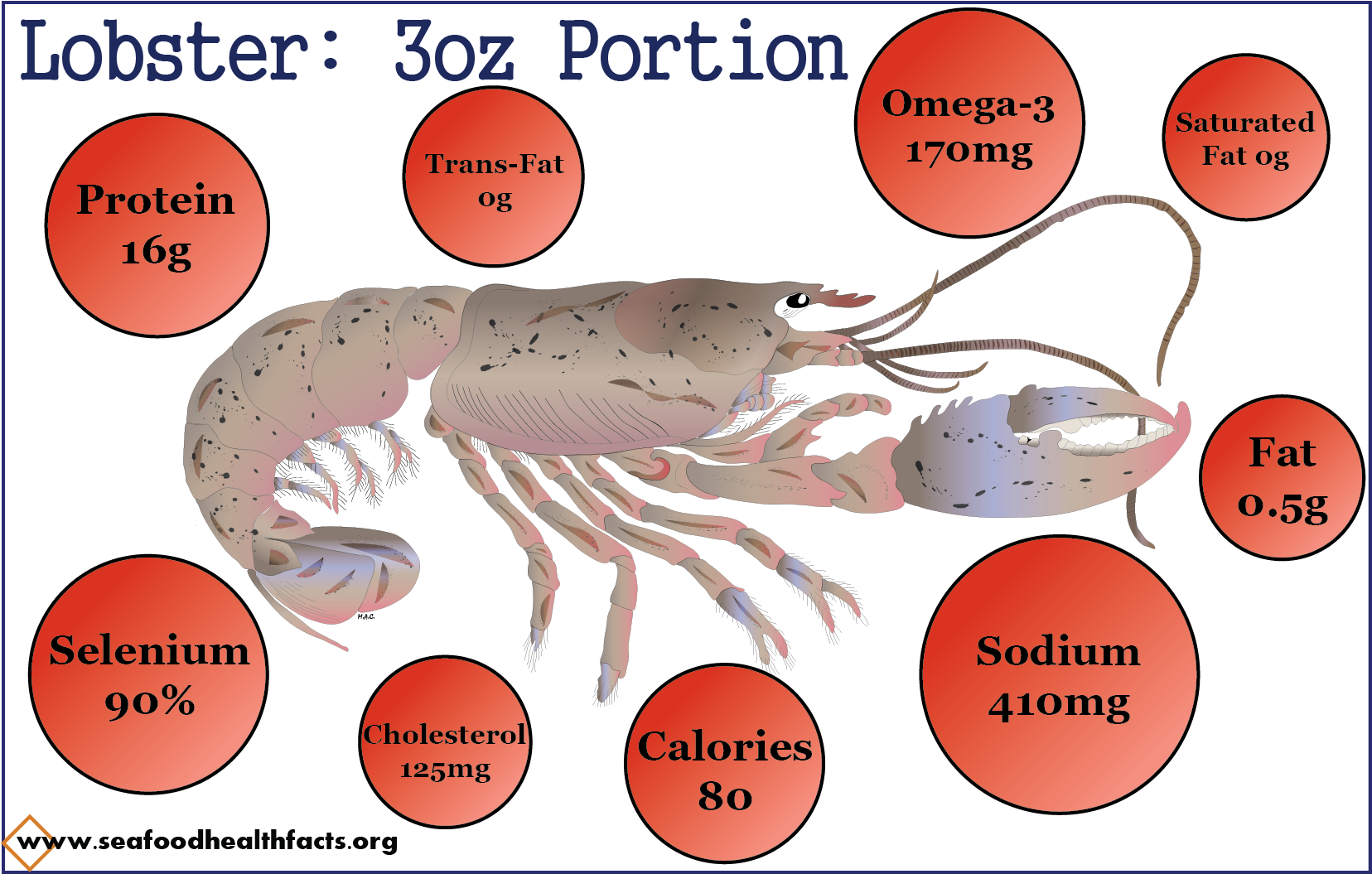 Lobster (png) - Antarctic Krill (1800x1200), Png Download