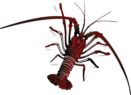 Latest News - News (550x400), Png Download