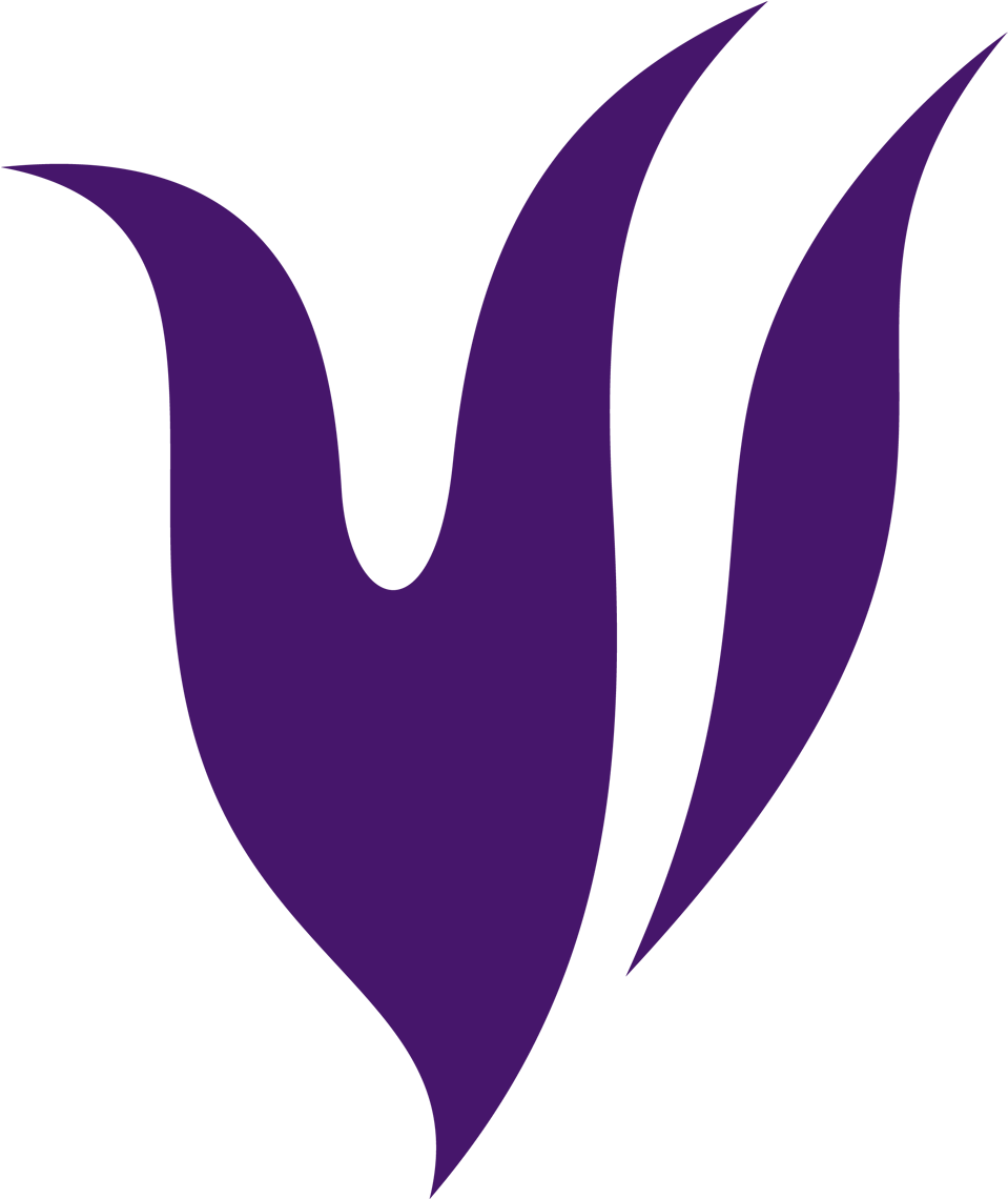 Q Purple 20flames Ampfirst Purple Flames Png - Emblem (1000x1139), Png Download