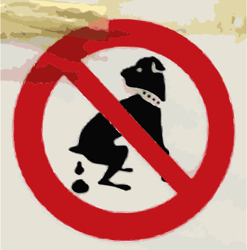 Medium Image - Dog (790x800), Png Download