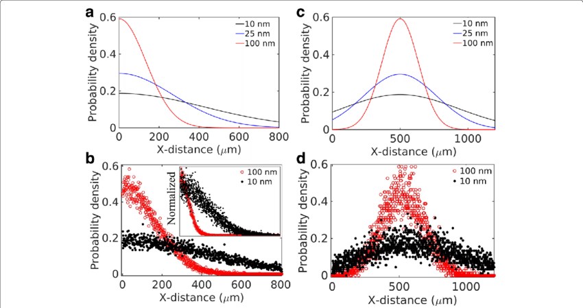 Particle Size Effects In A Cell-free System - Diagram (850x449), Png Download