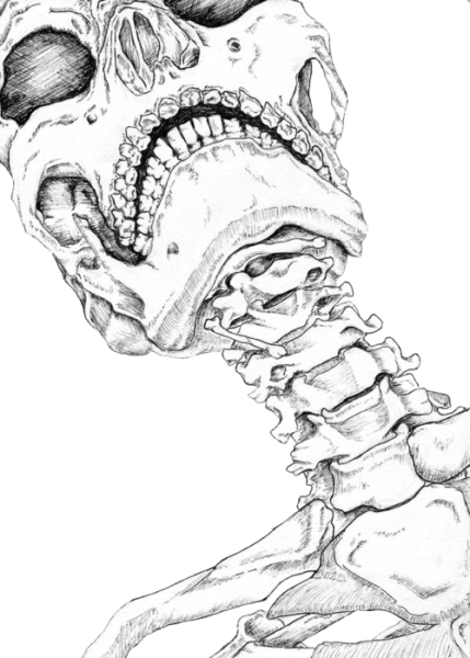 Explore Skeleton Drawings, Human Skeleton, And More - Human Neck Bone Drawing (429x600), Png Download