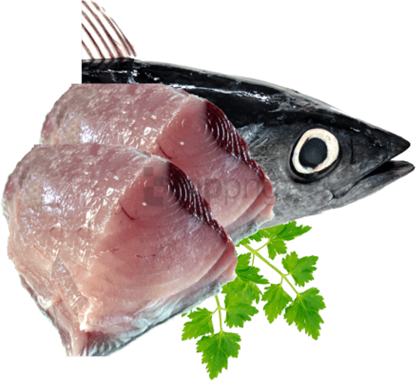 Free Png Fish Meat Png Png Image With Transparent Background - Fresh Tuna Fish Png (850x765), Png Download