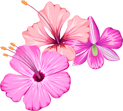 Small Fresh Flowers Flower Summer Free Transparent - Summer Flower Png (652x617), Png Download