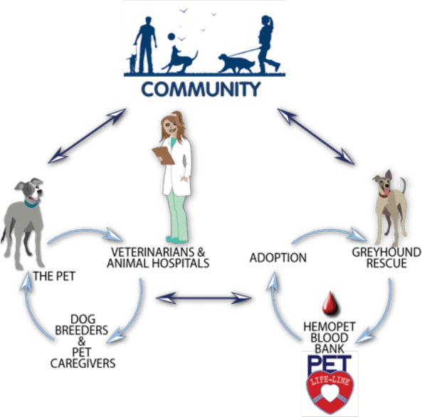 Hemopet Is A Full-service Facility Consisting Of An - Cartoon (593x586), Png Download
