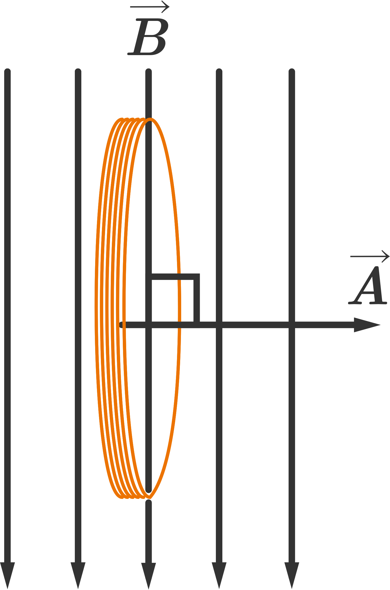 A Coil Of Wire In A Vertical Magnetic Field - Diagram (1496x2259), Png Download