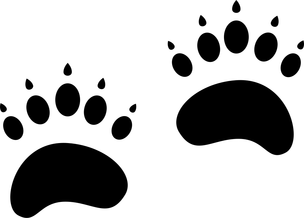 Download Pawprints Comments くま 足跡 イラスト フリー Png Image With No Background Pngkey Com