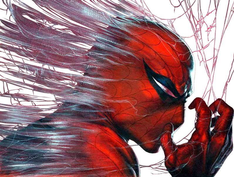 Spider-man Render Photo - Spiderman (797x603), Png Download