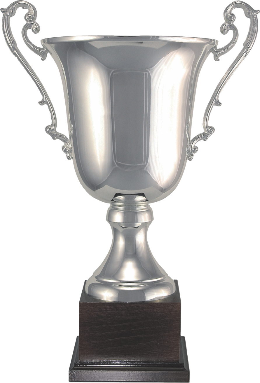 Trophy Golden Cup Award Medal Silver Clipart - Trophy (891x1314), Png Download