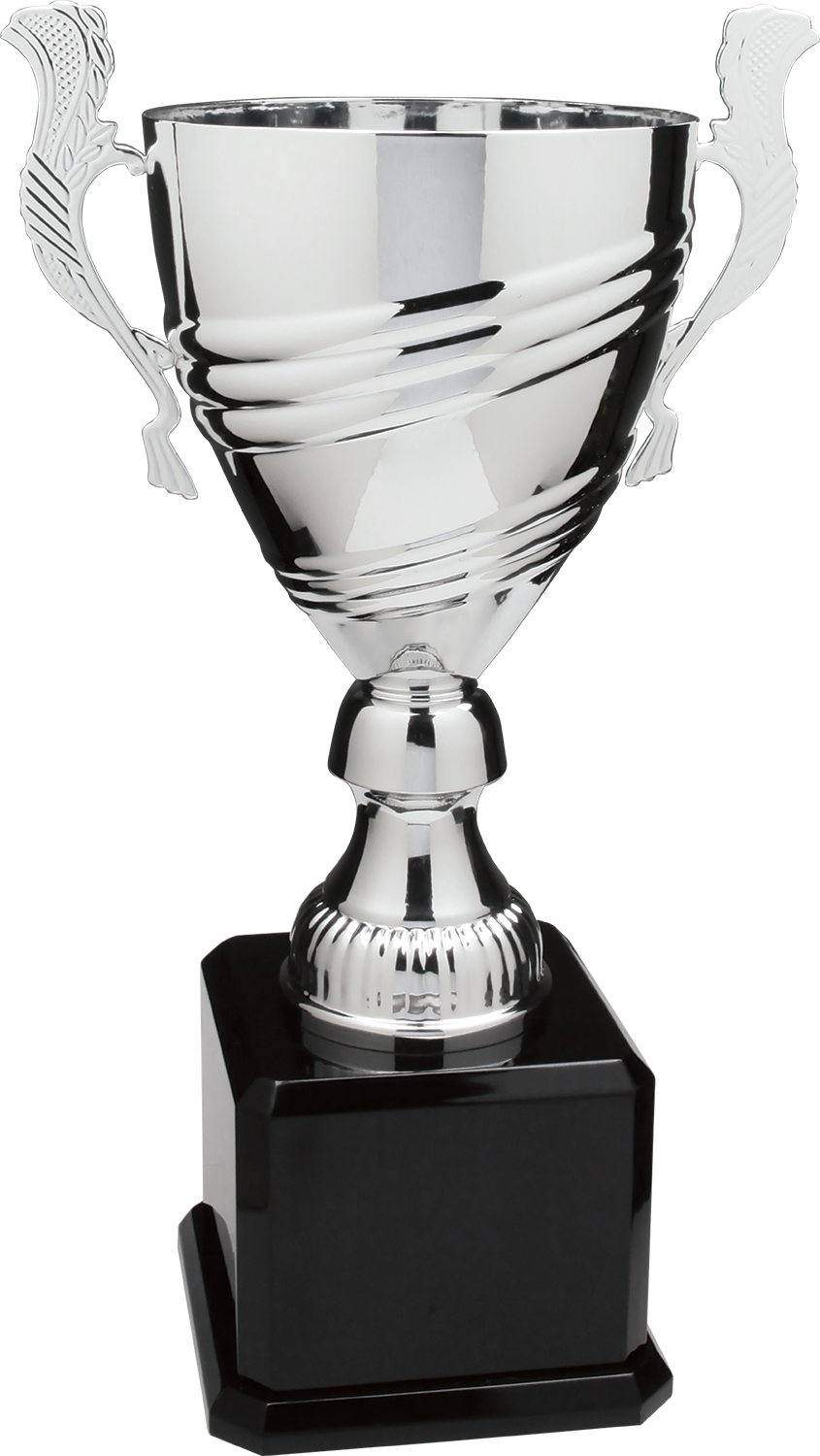 Silver Metal Cup Trophy - Cup (845x1500), Png Download