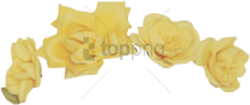 Free Png Tumblr Transparent Flower Crown Png Images - Maple (850x407), Png Download