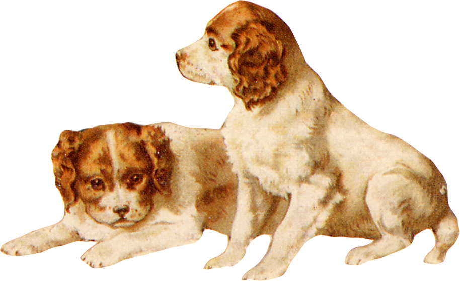 Zibi Vintage Scrap Dog Clip Art, Vintage Dog, Vintage - Companion Dog (914x559), Png Download