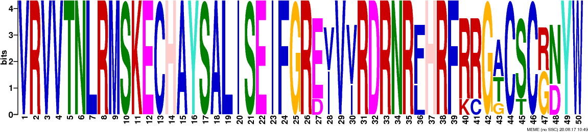 Png Logos Require Convert From Imagemagick - Art (1181x294), Png Download