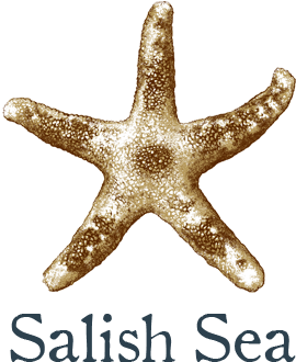 Starfish (1080x376), Png Download