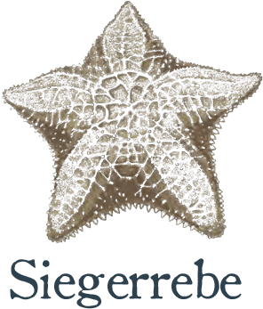 Starfish (1080x376), Png Download