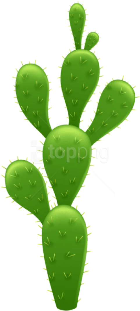 Free Png Cactus Transparent Png Images Transparent - Cactus Clipart Transparent Background (480x1079), Png Download