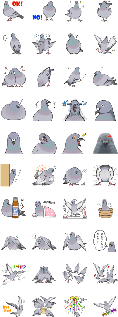 Line クリエイターズスタンプ Dove Pigeon, Any Birds, Colors, Pigeon - Pigeon Line Stickers (420x1121), Png Download