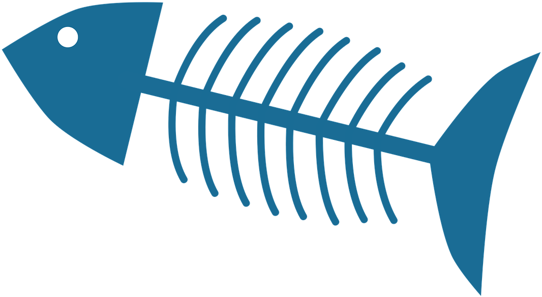 Fish Feathered Bone Skeleton Png Image - Bone (1280x1280), Png Download