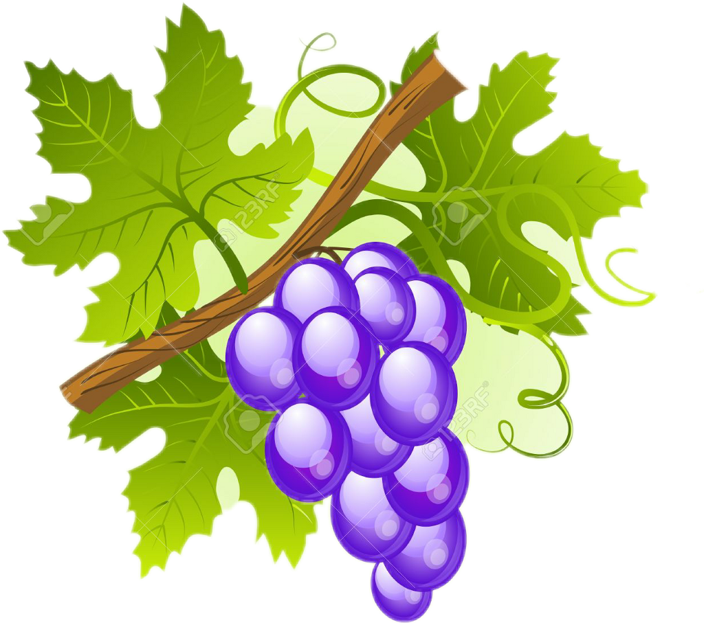 Uvas Sticker - Colegio Maria Reina Inmaculada (1024x907), Png Download