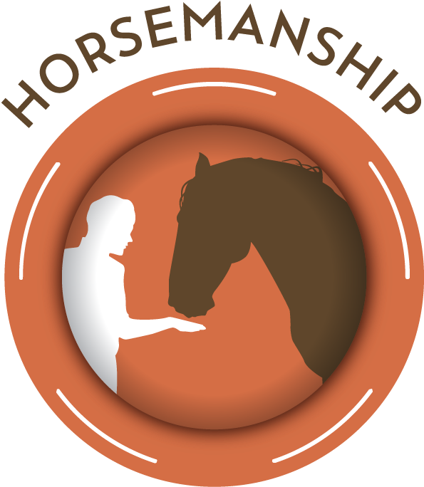 Healingreins Icon Horsemanship 02website Administrator2019 - Photography (834x834), Png Download