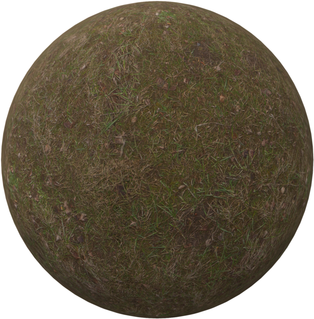 Gnarly Grass - Circle (800x800), Png Download