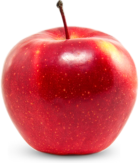 Apple Gala (600x550), Png Download