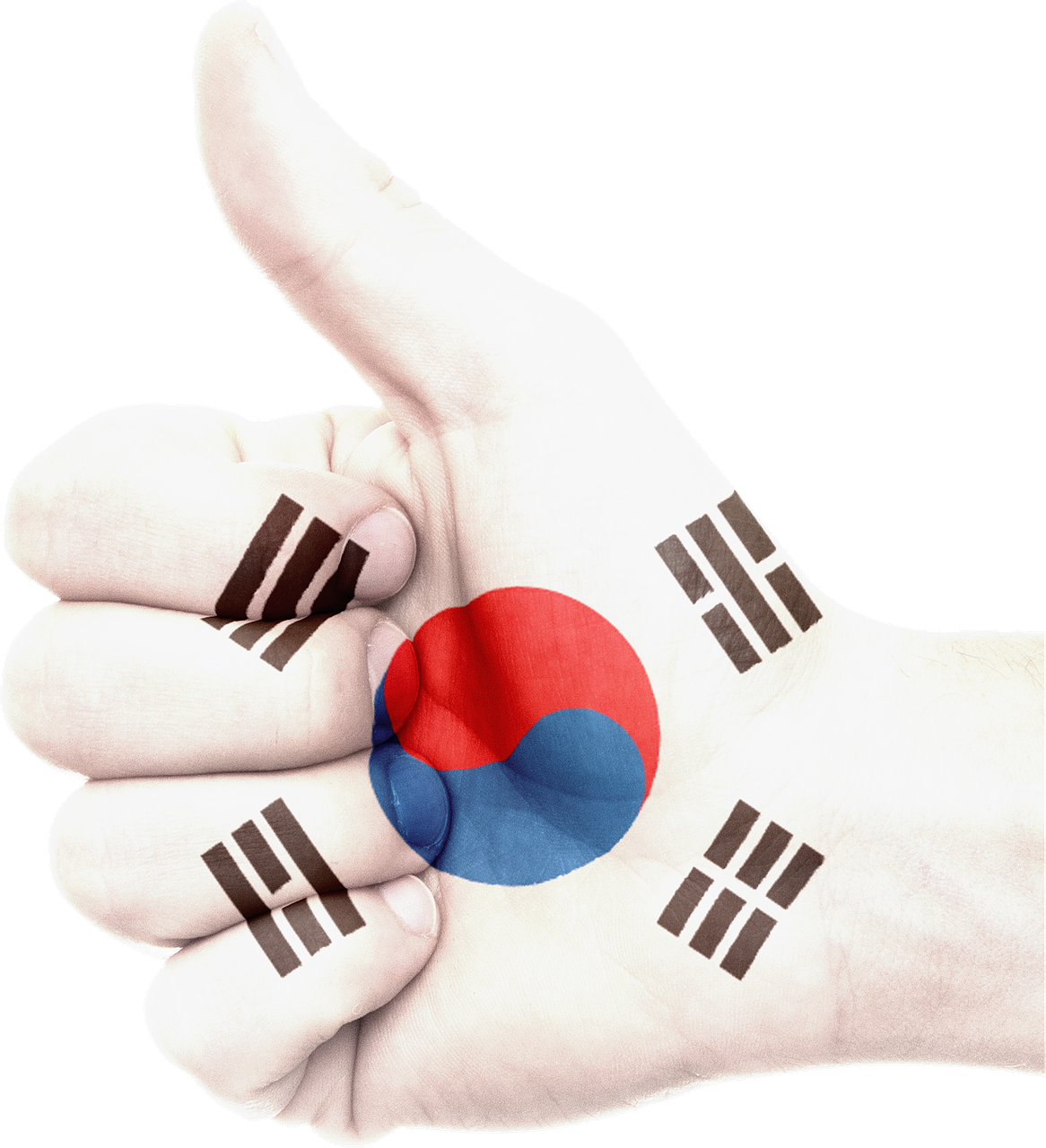 Hand South Korea Flag National Png Image - South Korea Flag Hand (1166x1280), Png Download