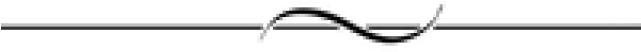 Decorative Line Line Png (640x480), Png Download
