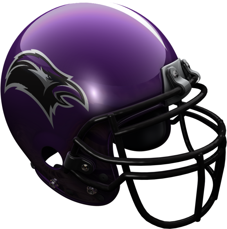 Ravens - Face Mask (1000x800), Png Download