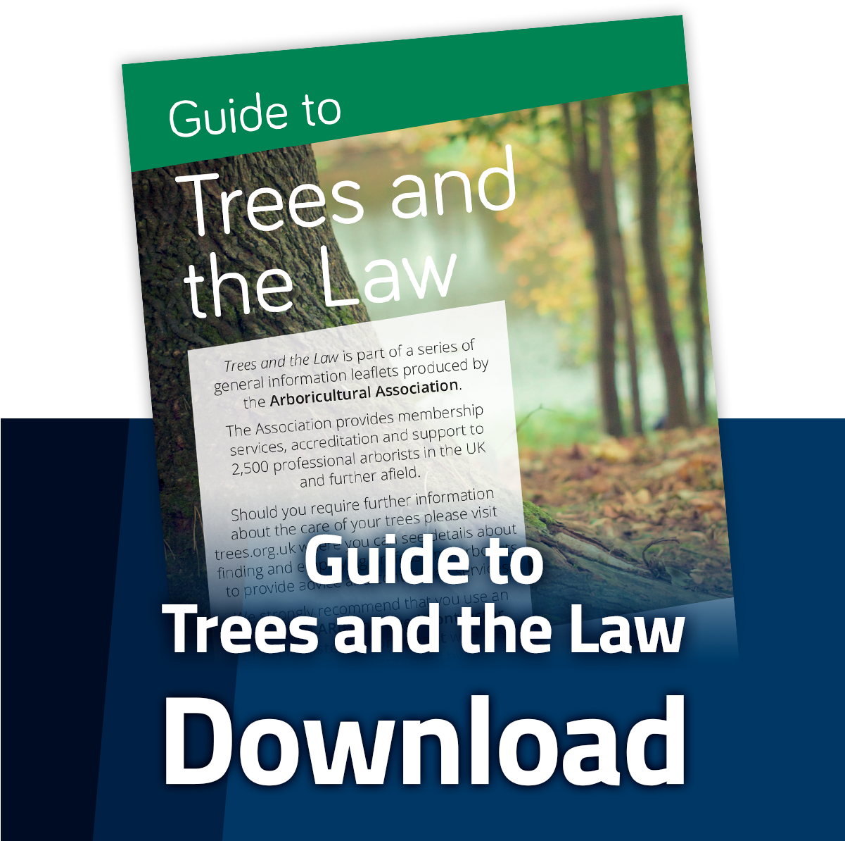 Poster (1200x1200), Png Download