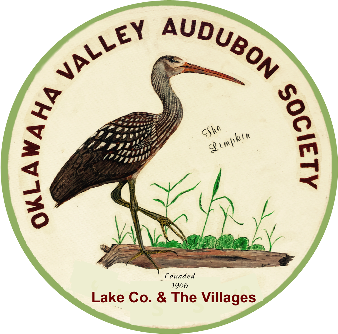 Oklawaha Valley Audubon Society - Limpkin (1200x1200), Png Download