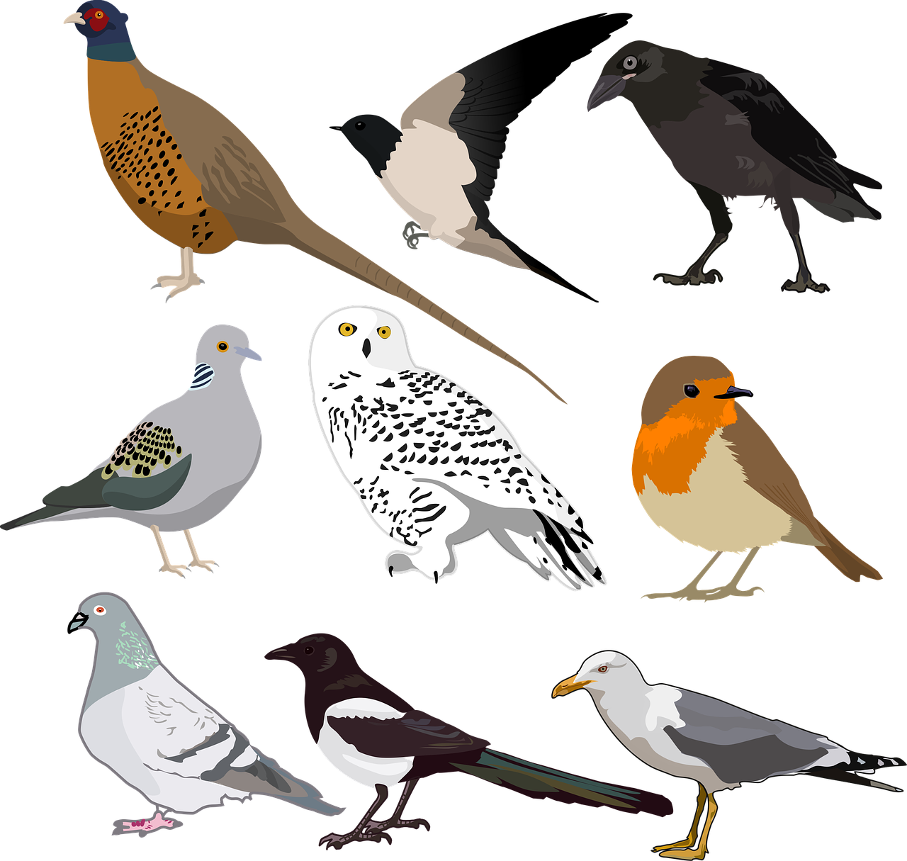 Printable Bird Stickers (1280x1215), Png Download