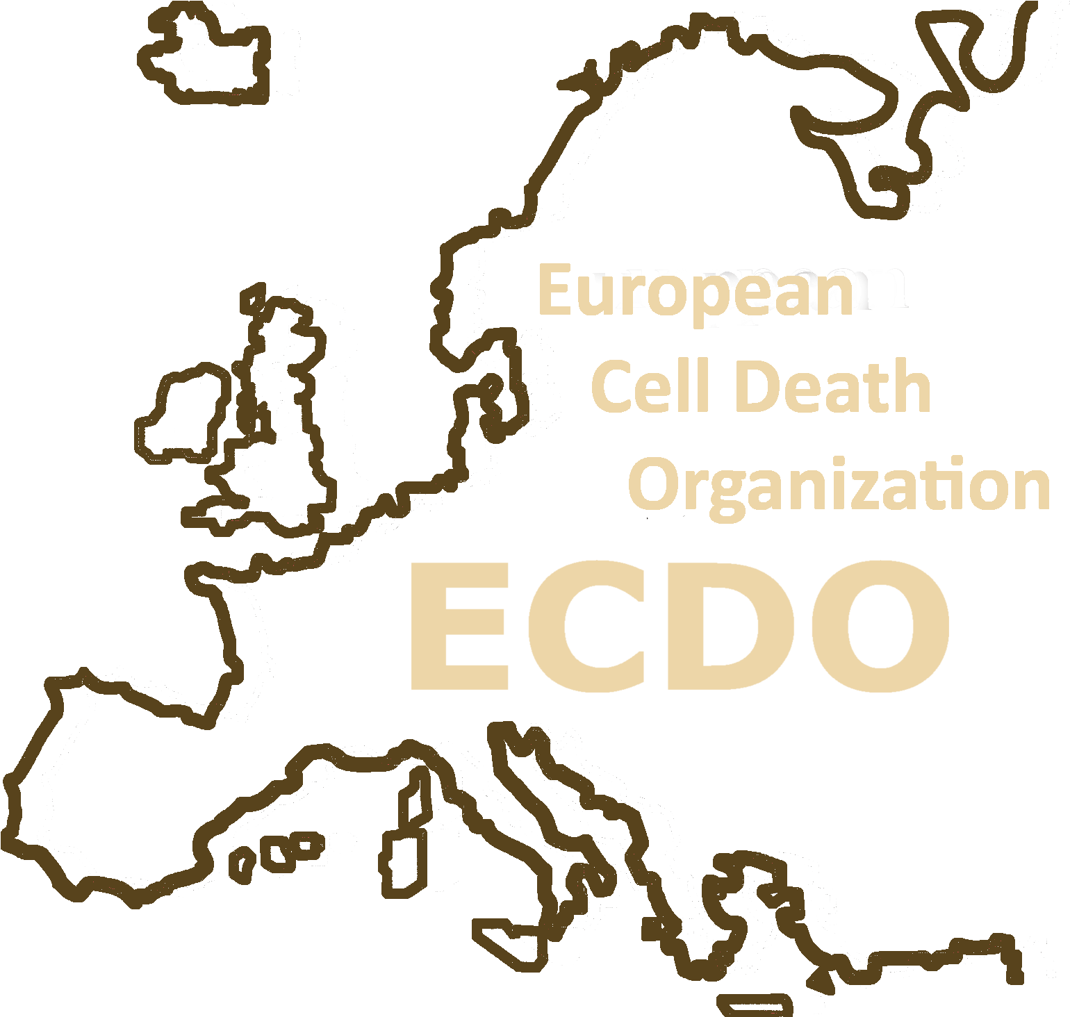 About Ecdo - Illustration (1608x1546), Png Download