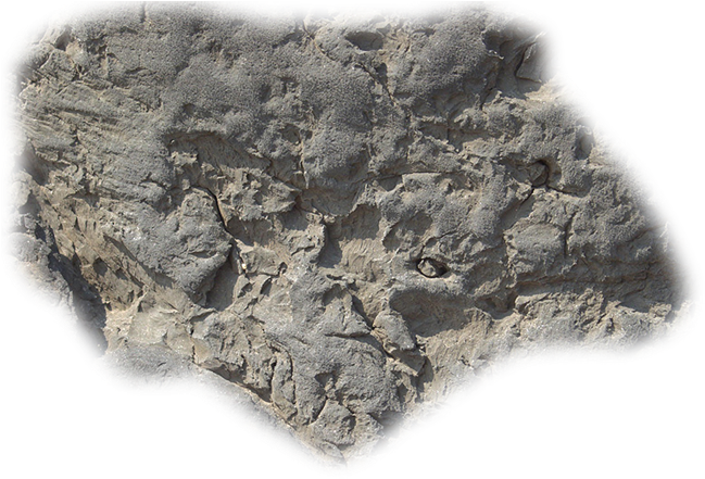 Png 06 Feb 2009 - Igneous Rock (664x498), Png Download