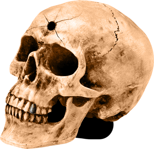 Northern California's Highest Rated Haunted House In - Skull (626x603), Png Download