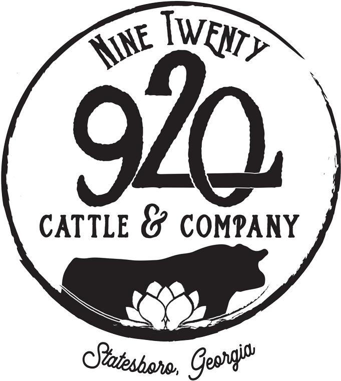 Home - Circle (750x785), Png Download