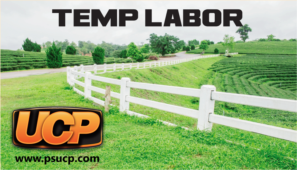 Graphic Design By Jadavprakash9 For Ucp Personnel Services (1053x744), Png Download