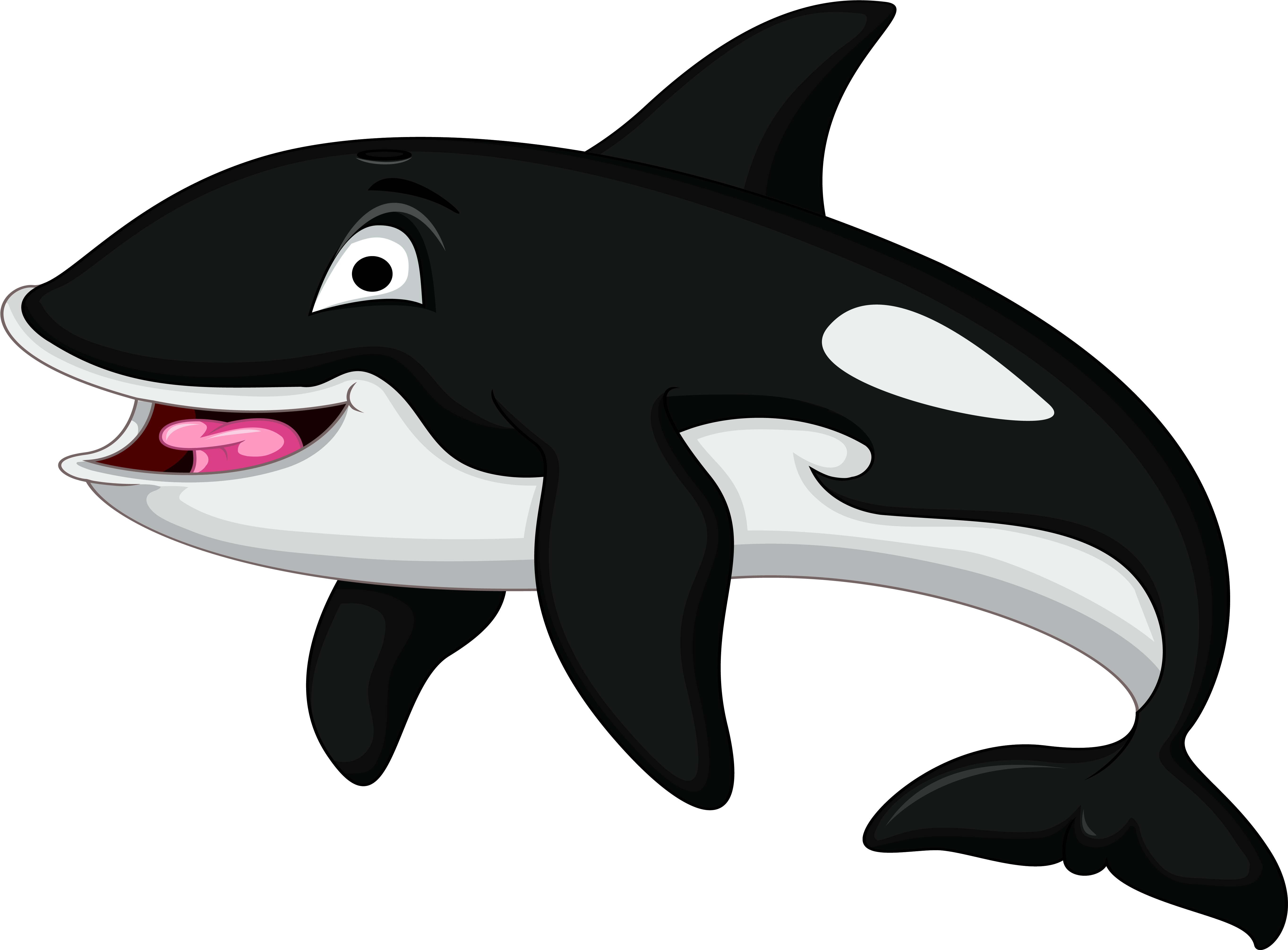 Killer Whale Character-01 - Killer Whale (6156x4614), Png Download