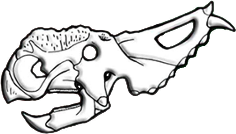 Pachyrhinosaurus Skull Diagram - Pachyrhinosaurus (851x520), Png Download