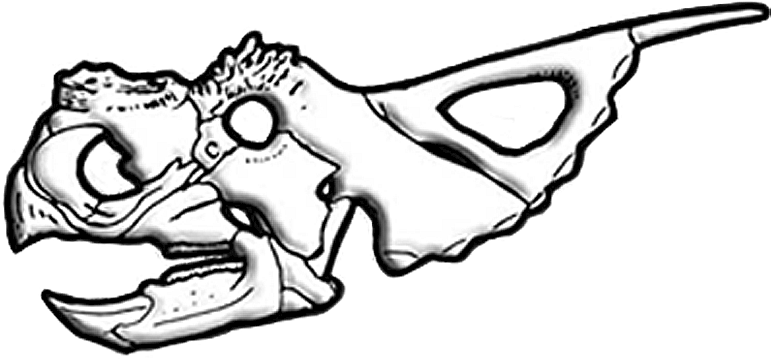 Achelousaurus Skull Diagram - Achelousaurus (802x420), Png Download