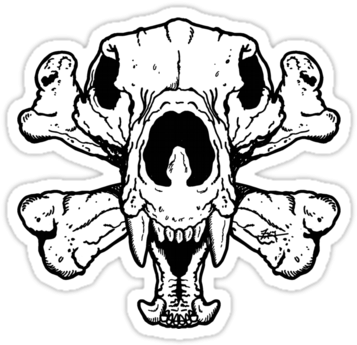 Bear Skull And Crossbones (375x360), Png Download