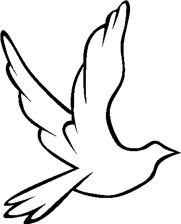 Palomas Png (505x470), Png Download