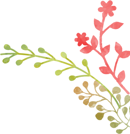 Erzahlungen: Prinzessin Auf Der Erbse Un (501x529), Png Download