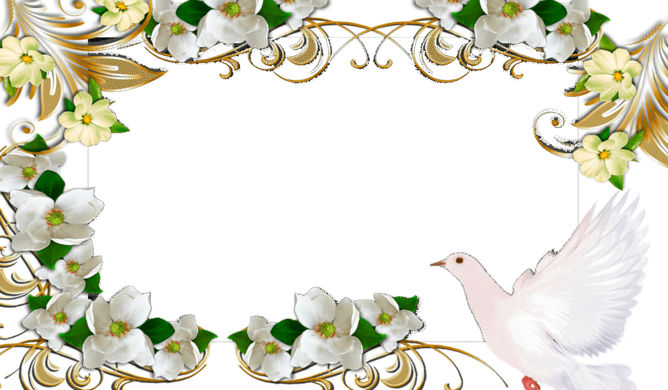 Marco Foto Paloma De La Paz - Marcos Para Fotos Palomas (2124x1240), Png Download
