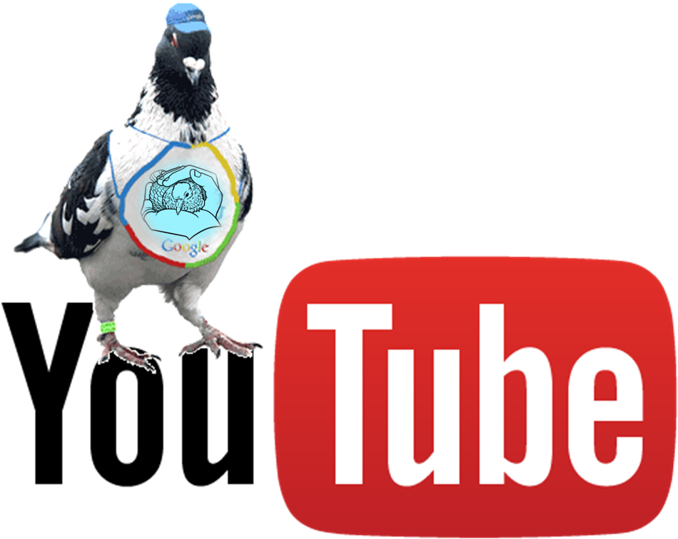 Guía Multiestratégica Gestión Ética De Palomas Urbanas - Best Tv 2.4 Arabic Iptv Wireless Box Btv2u (1458x1025), Png Download