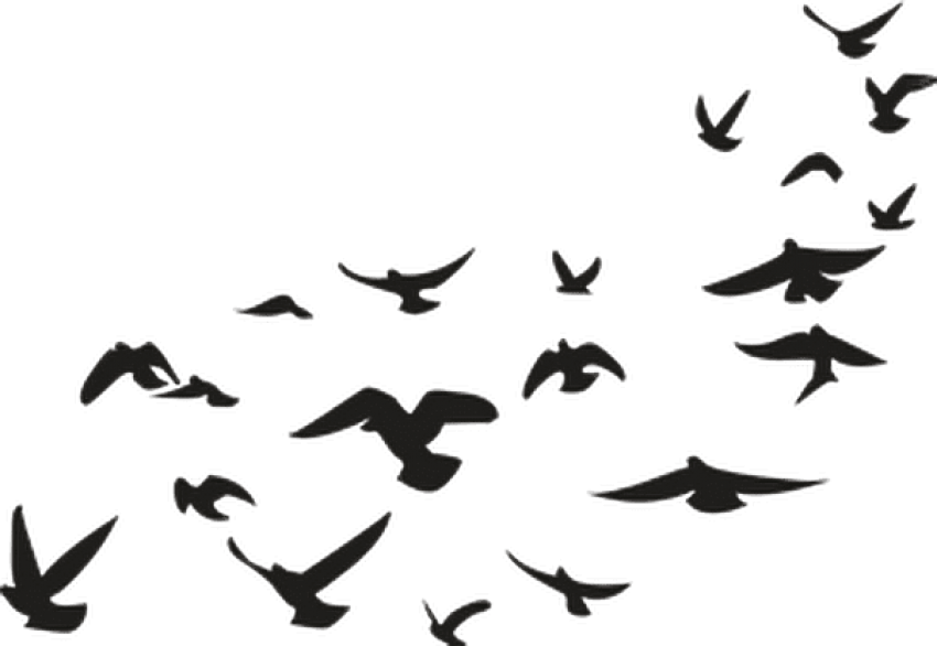 Report Abuse - Picsart Png Stickers (604x416), Png Download